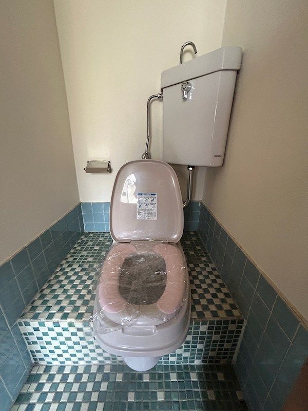 �y�g�C���z�@�m���^�|�[�^�u���֍��ݒu�ς�