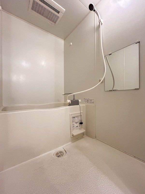 �y�o�X�z�@�ǂ��������C