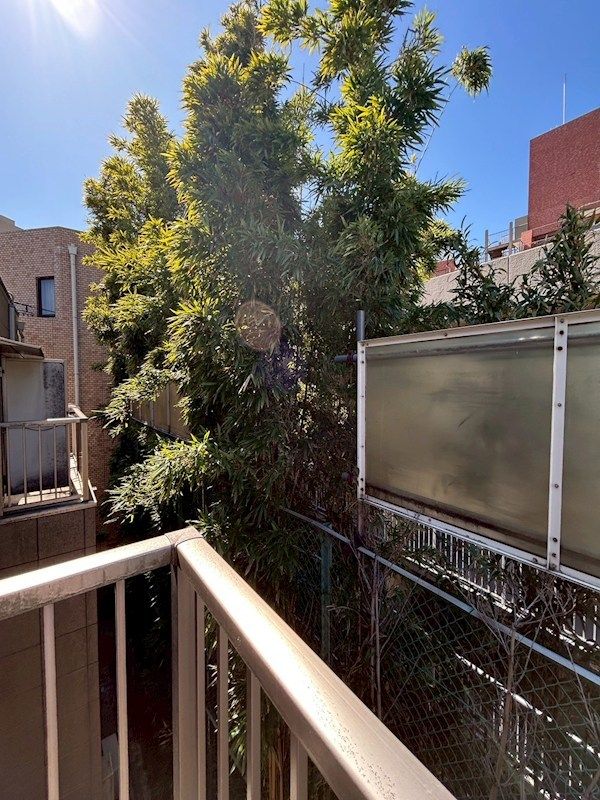 �y���]�z�@