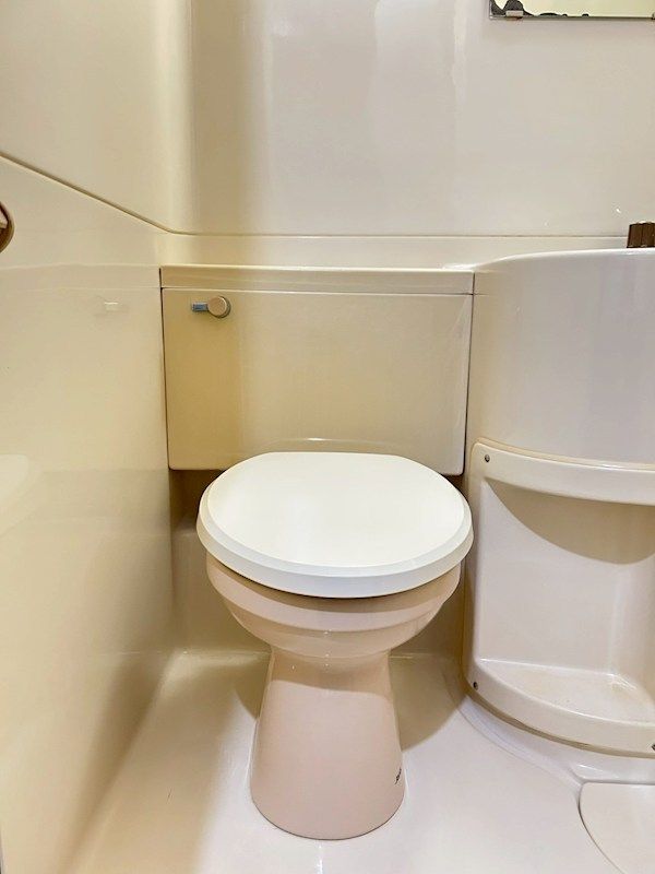 �y�g�C���z�@���܂�肪��̂ŁA�����̕�炵���X�b�L��