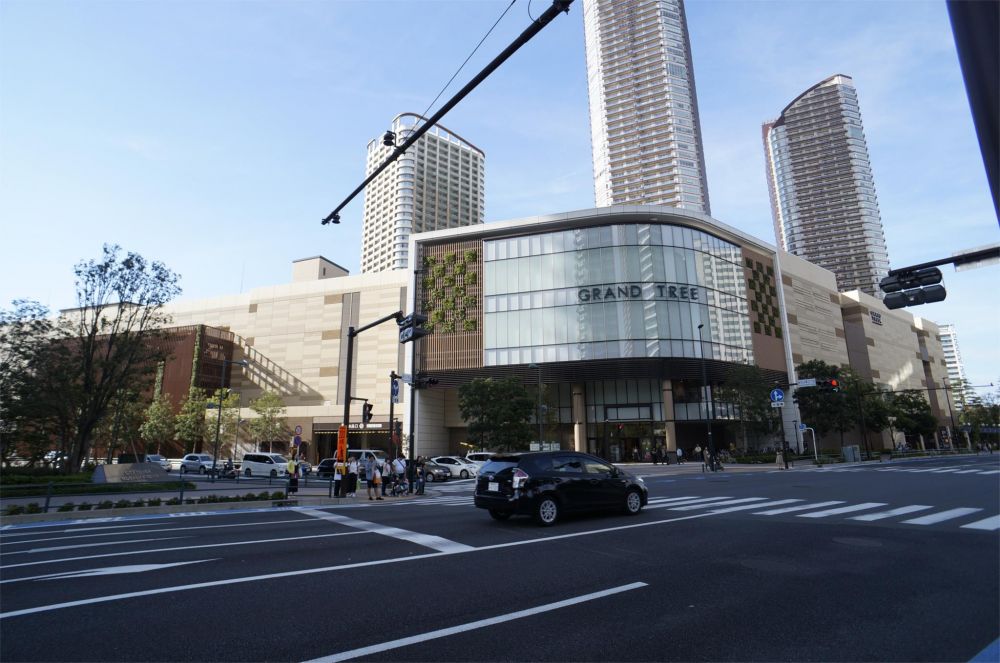 �y���Ӂz�@GRAND TREE MUSASHIKOSUGI�i�O�����c���[���������j 254m