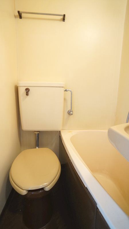 �y�g�C���z�@