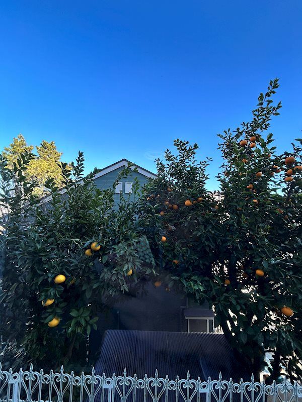 �y���]�z�@