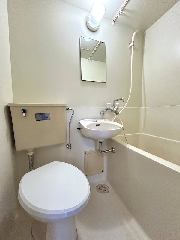 �y�g�C���z�@