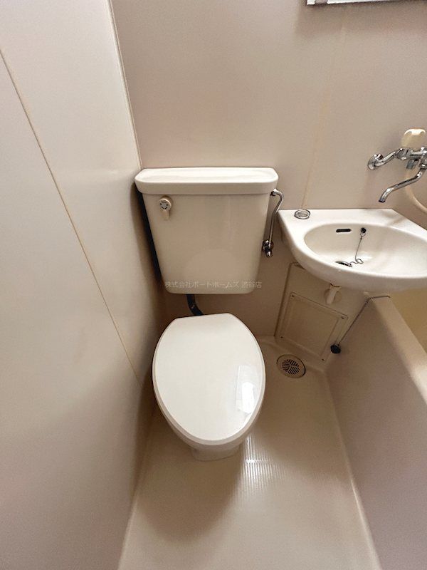 �y�g�C���z�@